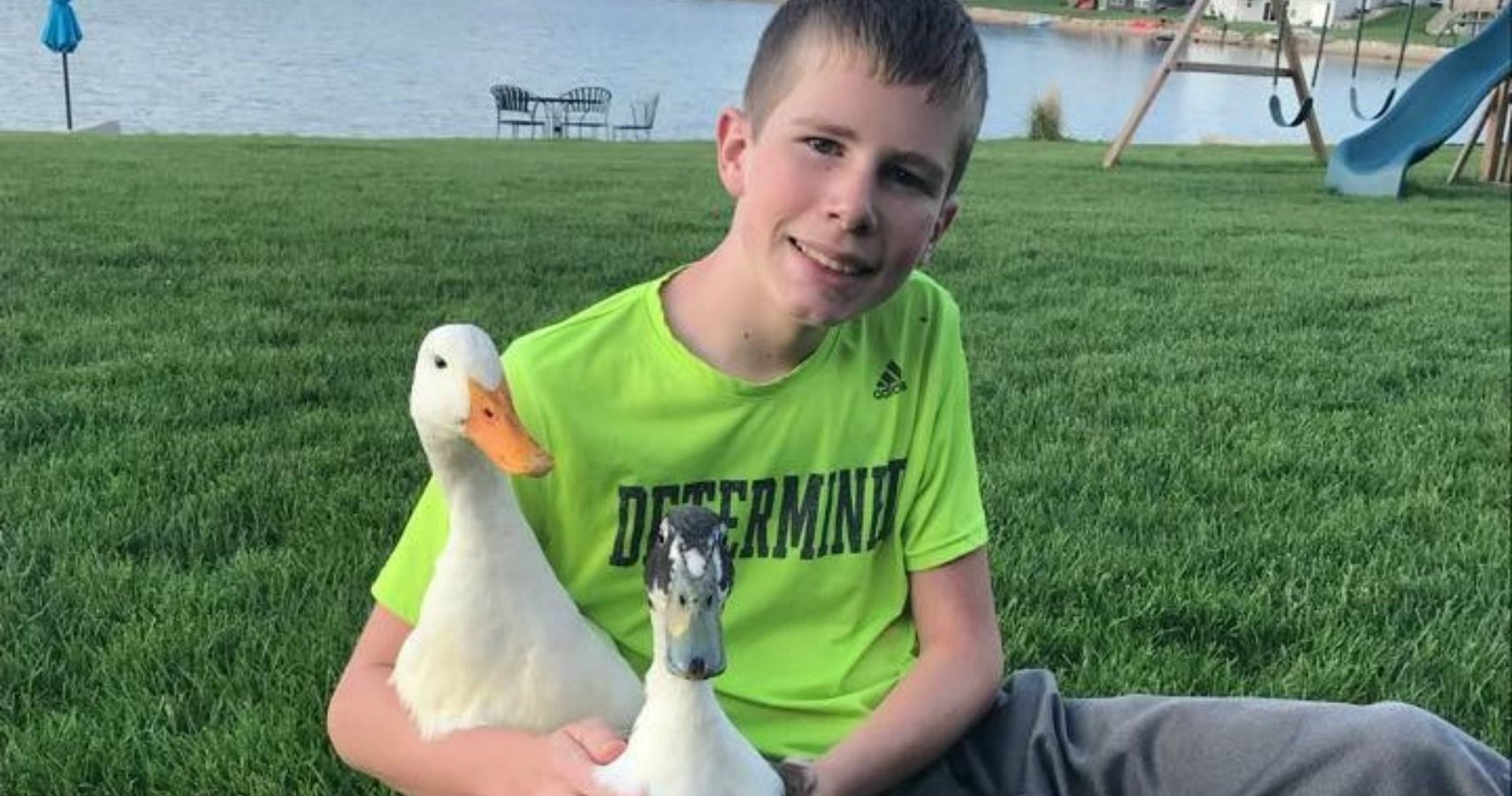Help Dylan Keep His Ducks