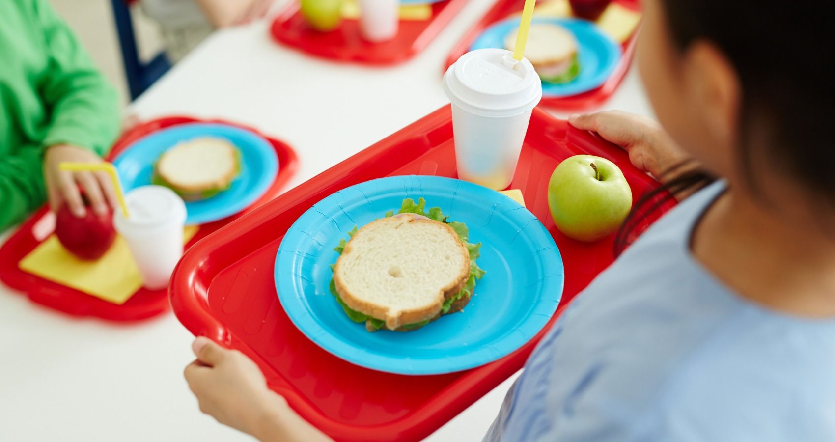 child lunch tray
