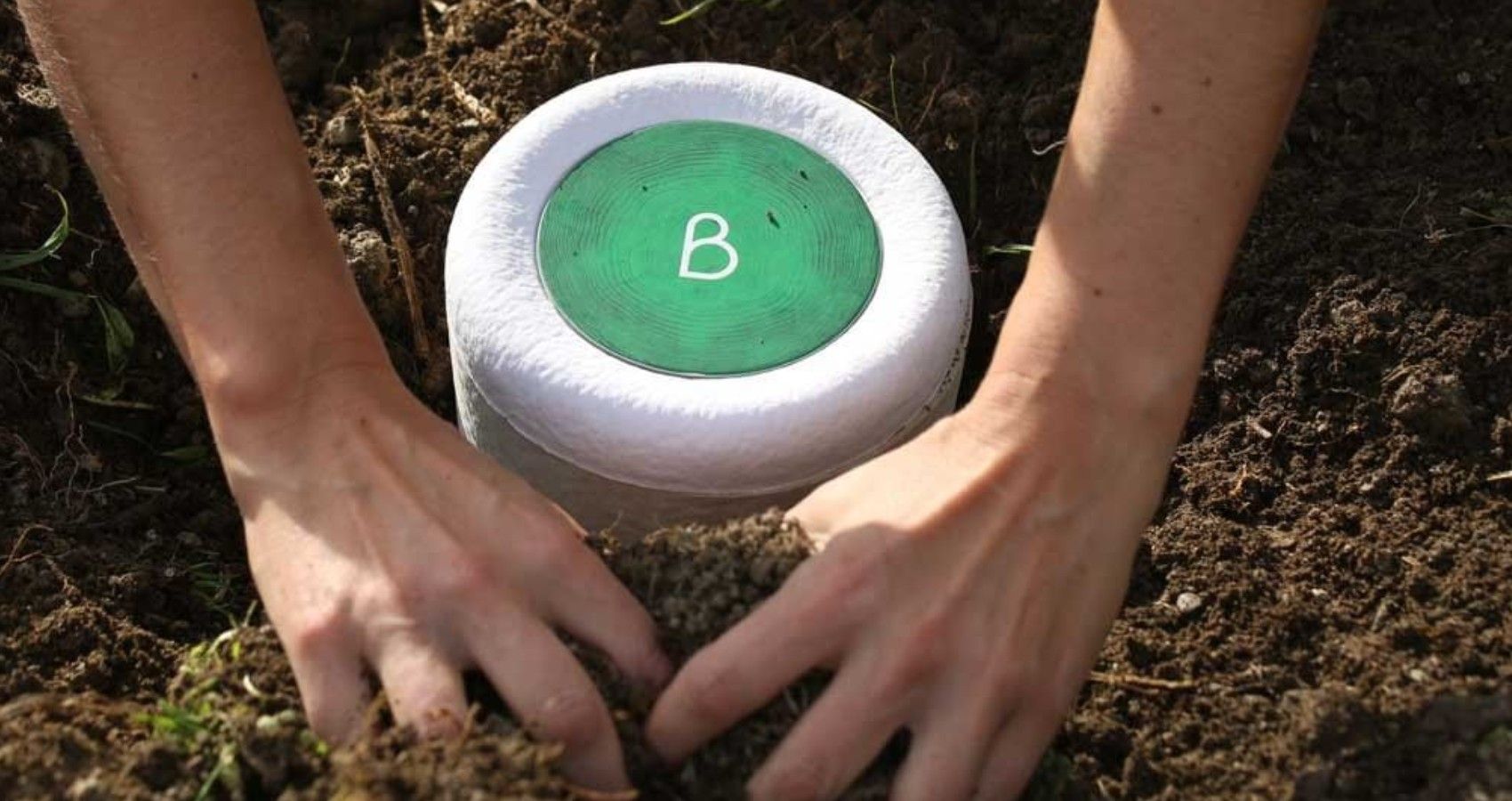 Bios Park Lets Families Bury Cremated Remains Allowing Trees To Grow