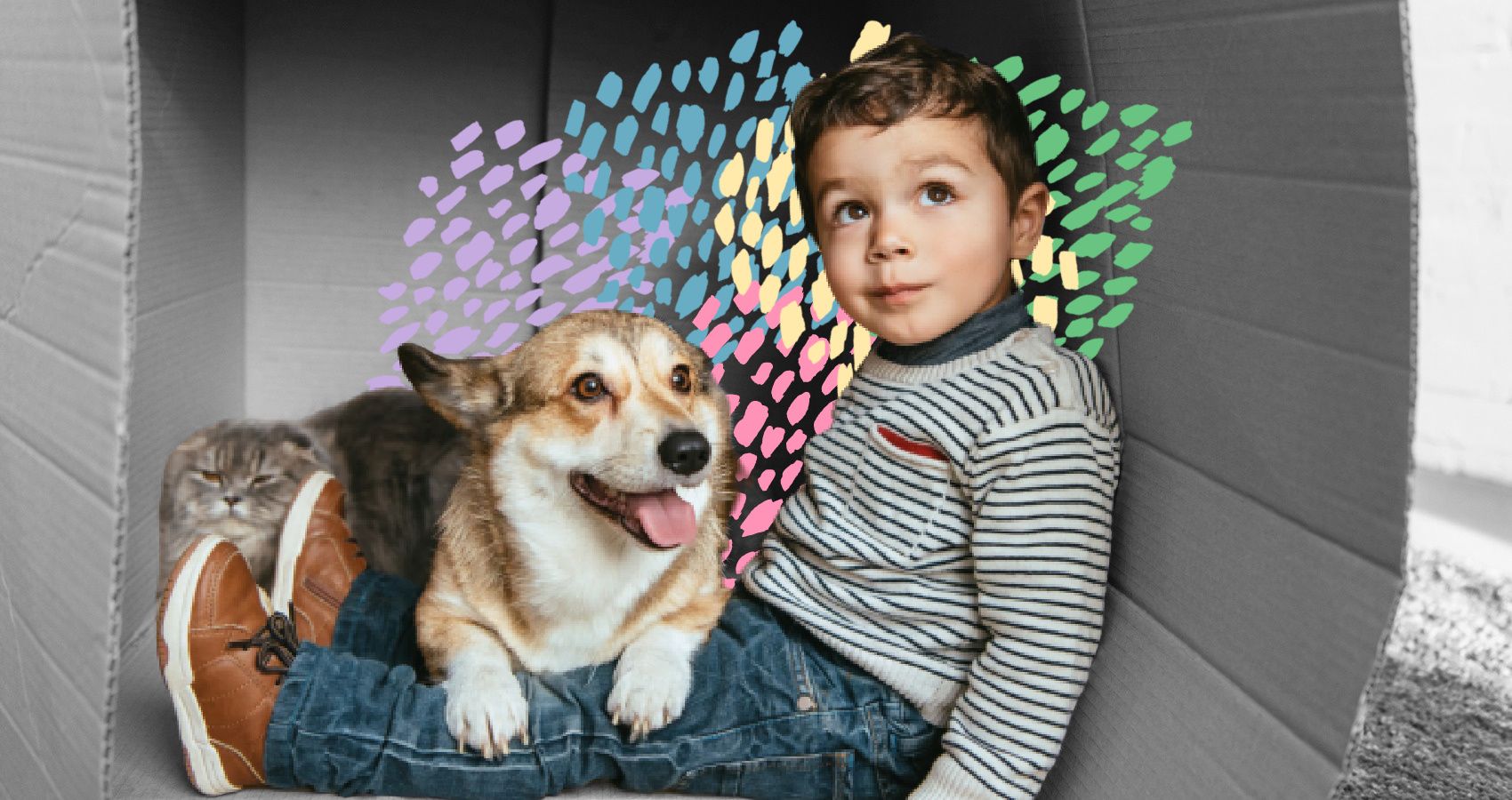 boy with his pet dog and cat