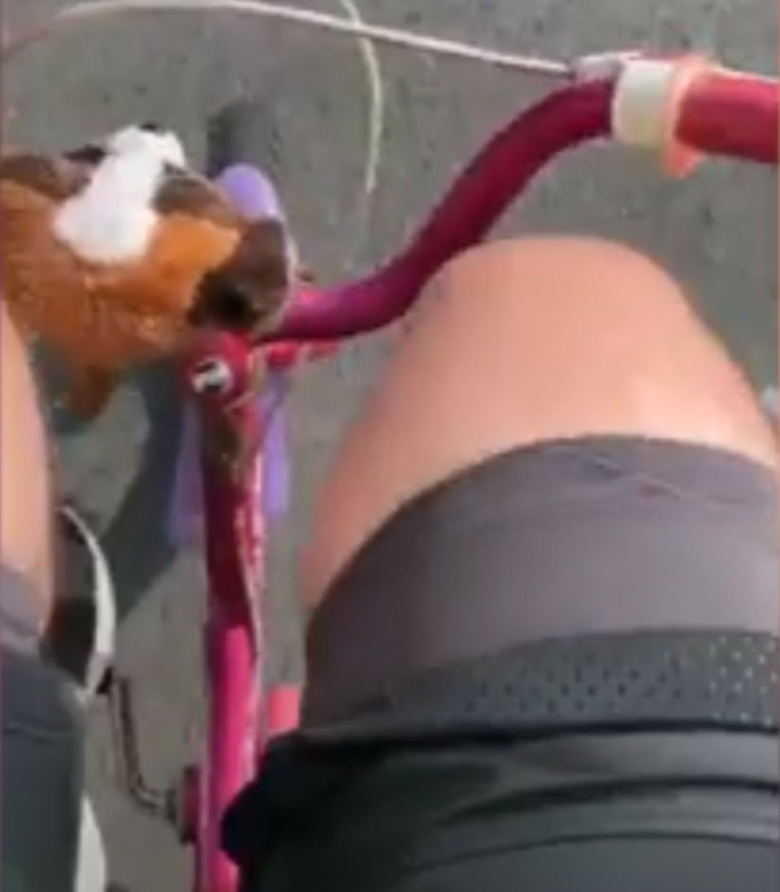 Screenshot of YouTube video showing a dad who rode 200 miles for charity on pink bike