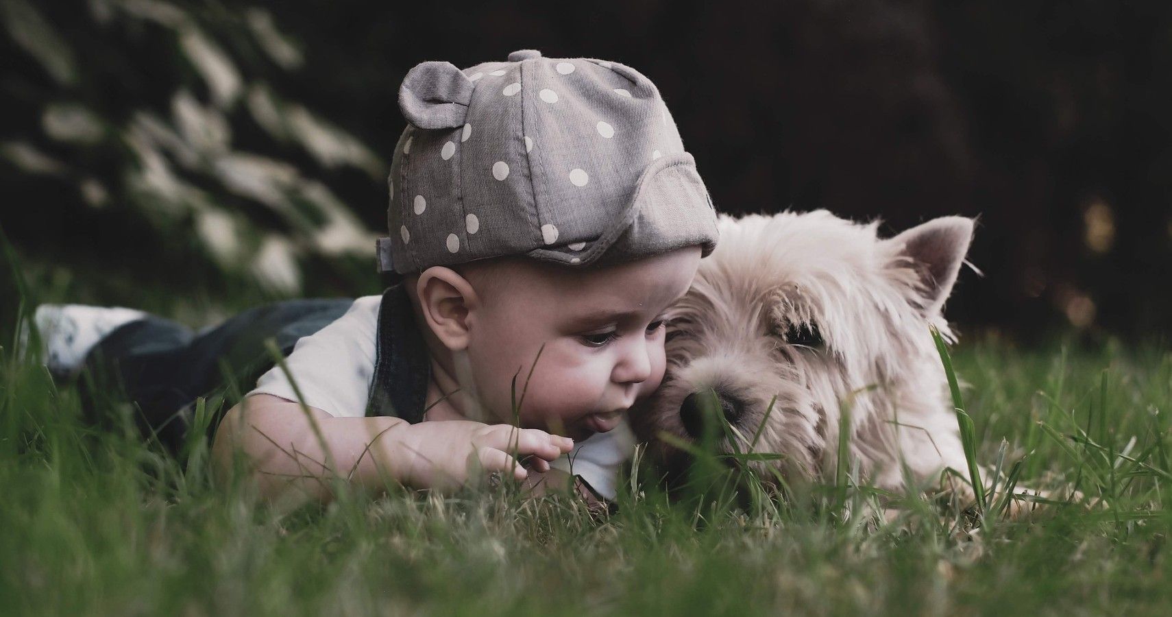 Toddler and dog in the grass