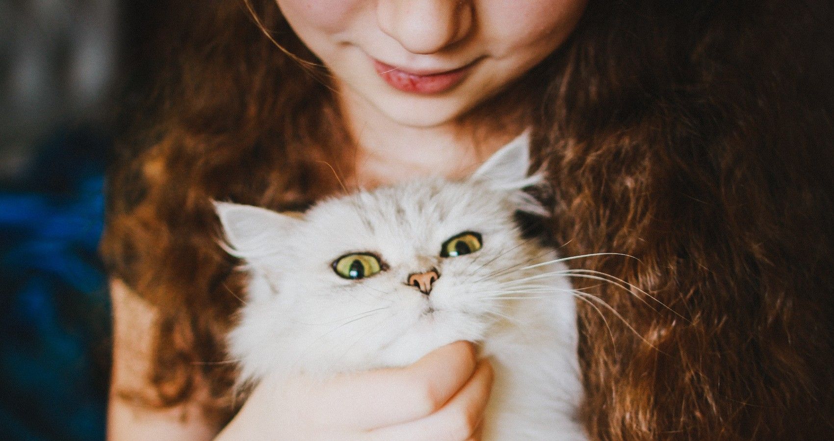 A child holding on to a white cat