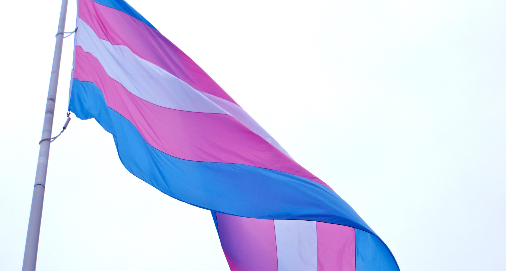 A transgender pride flag on a flag pole