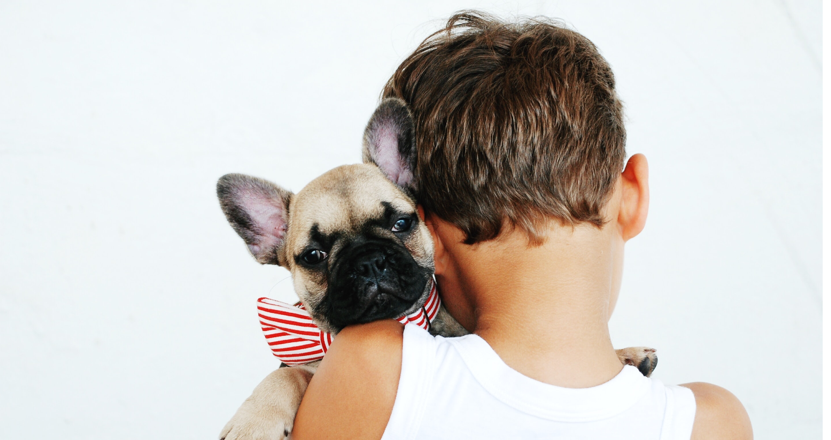 A young boy holding a dog