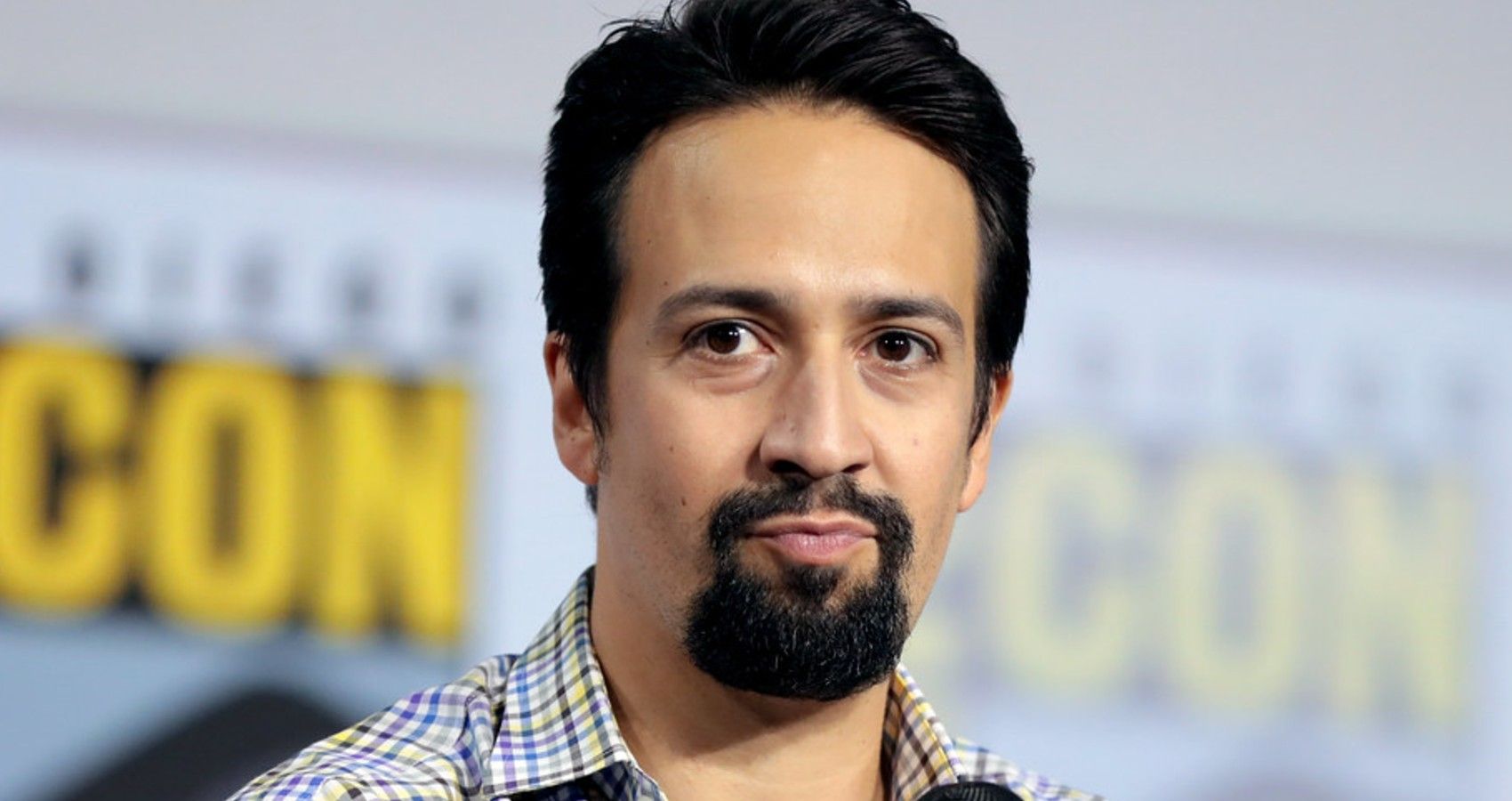 A Picture Of Lin-Manuel Miranda On A Panel
