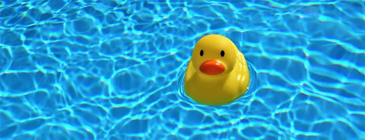 Rubber ducky in water