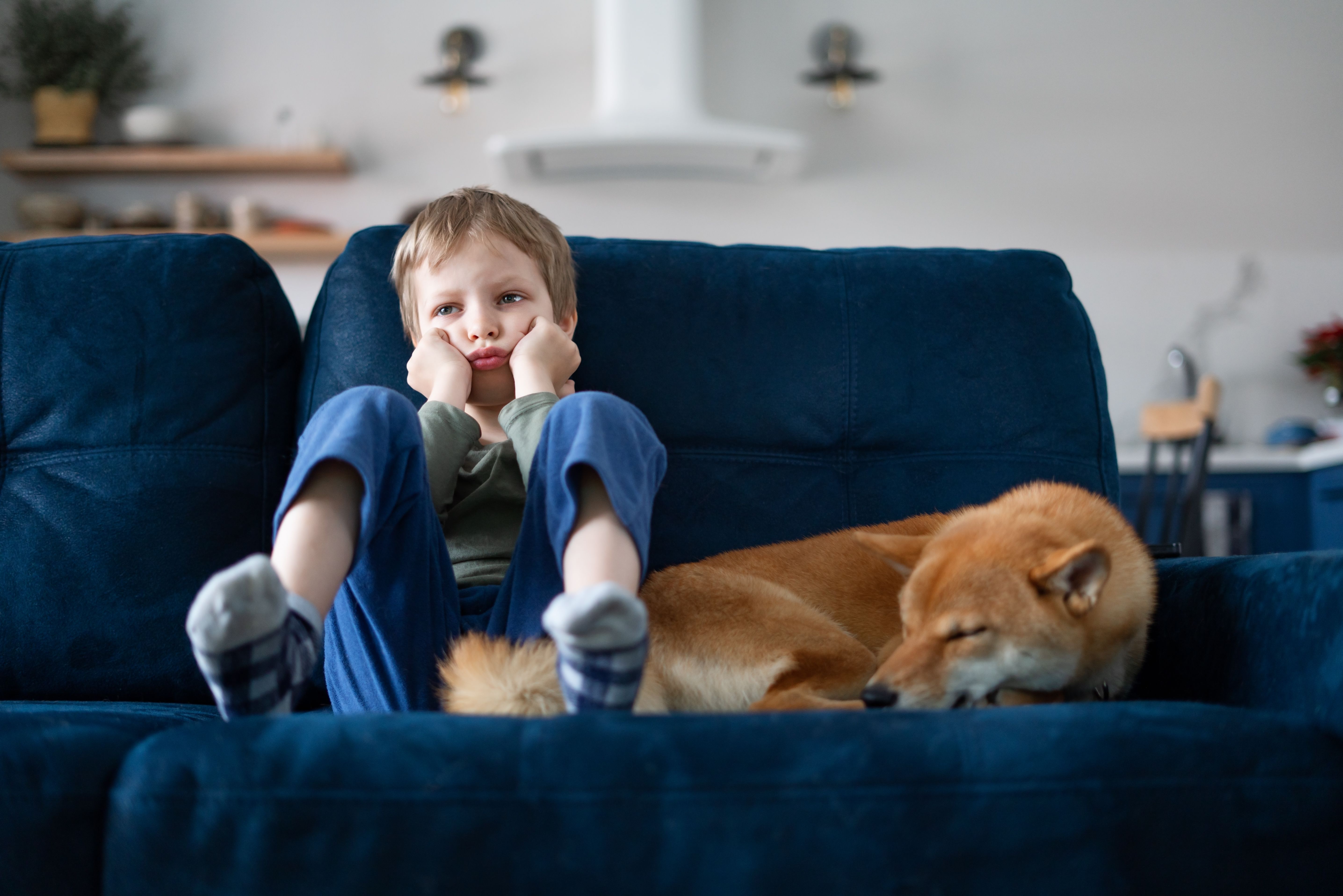 boy sitting on couch bored with sleeping dog
