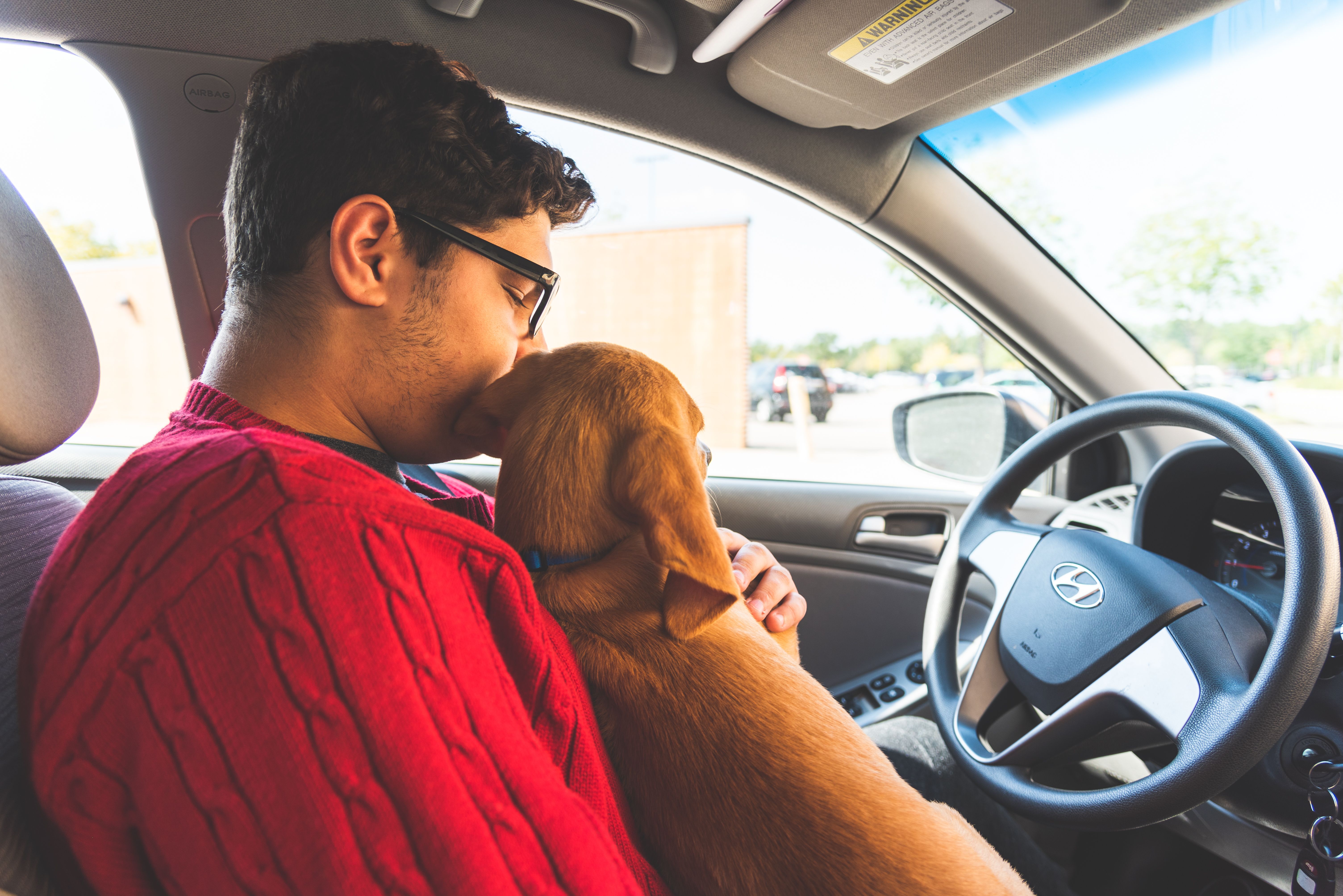teen driving with pet