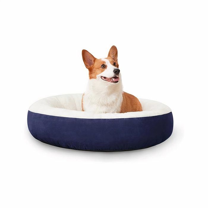 The Best Dog Beds For MediumSized Dogs
