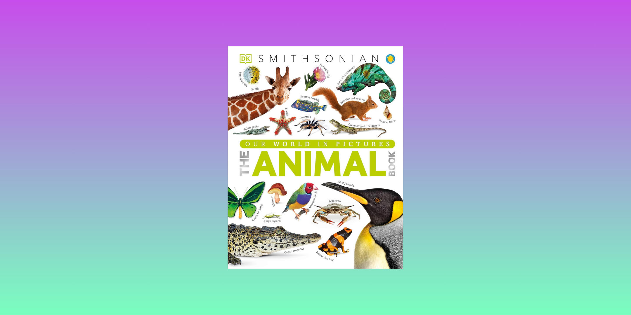 Great gift ideas for kids who love animals