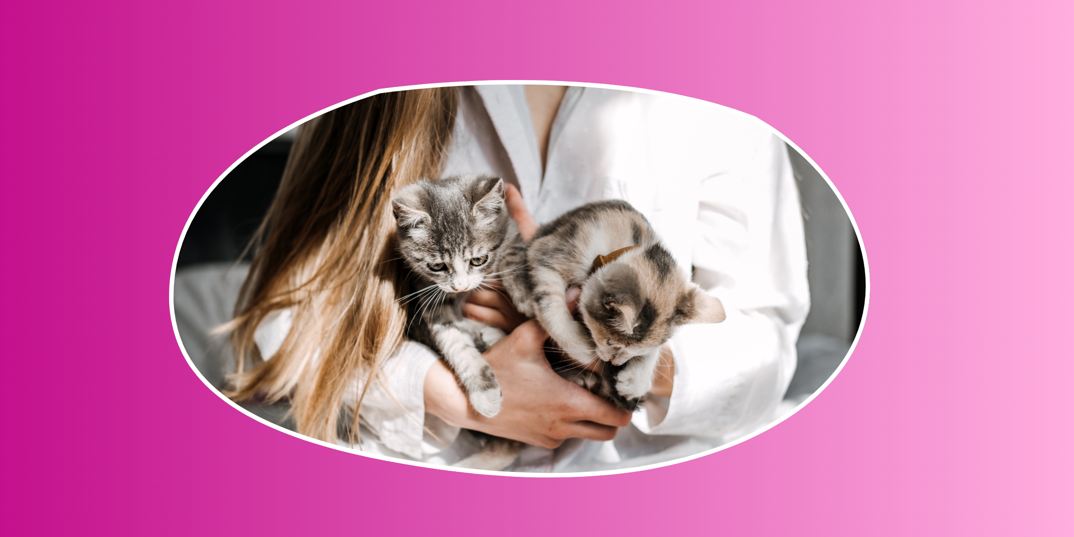 How To Introduce A New Pet To Your Kids